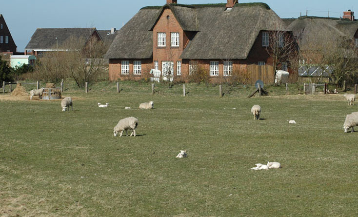 07.jpg